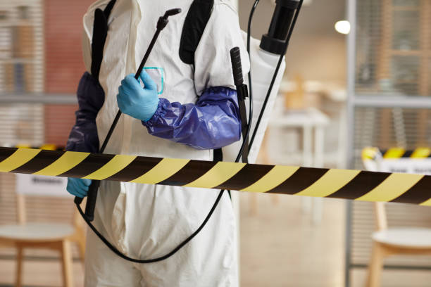 Professional Sewage Cleanup technician working in Ashton, IA